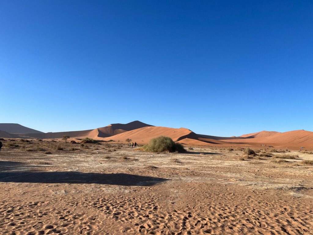 Rote Dünen von Sossusvlei in Namibia