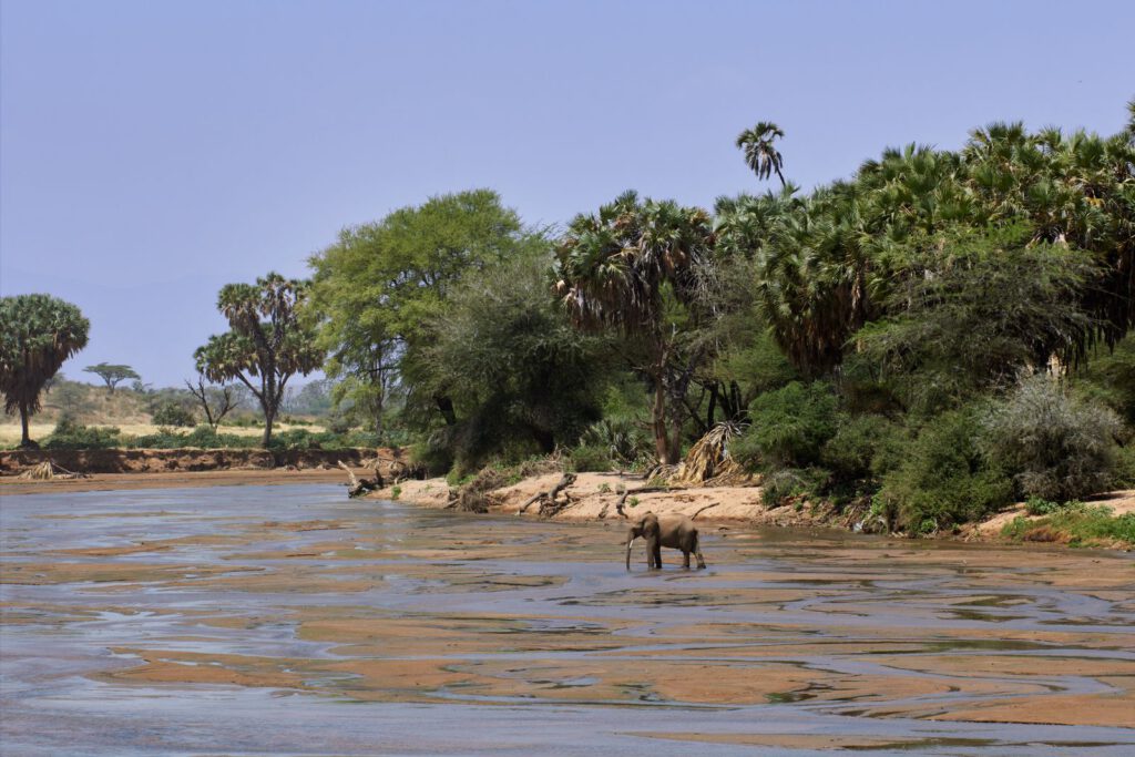 Kenia – wie Safari, Naturschutz und moderne Gesellschaft zusammenhängen – regionales Motiv