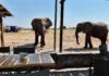 Botswana – Wasser in der Kalahari und die Politik der Wildnis – Motiv 1