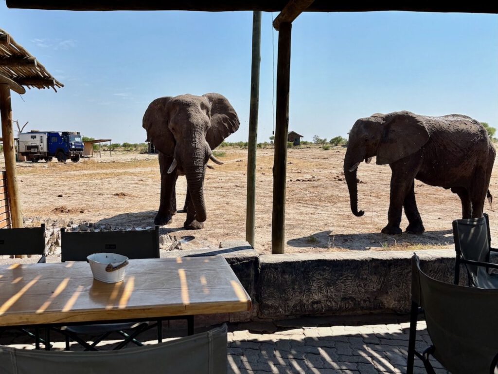 Botswana – Wasser in der Kalahari und die Politik der Wildnis – regionales Motiv