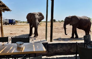 Botswana – Wasser in der Kalahari und die Politik der Wildnis – Motiv 1