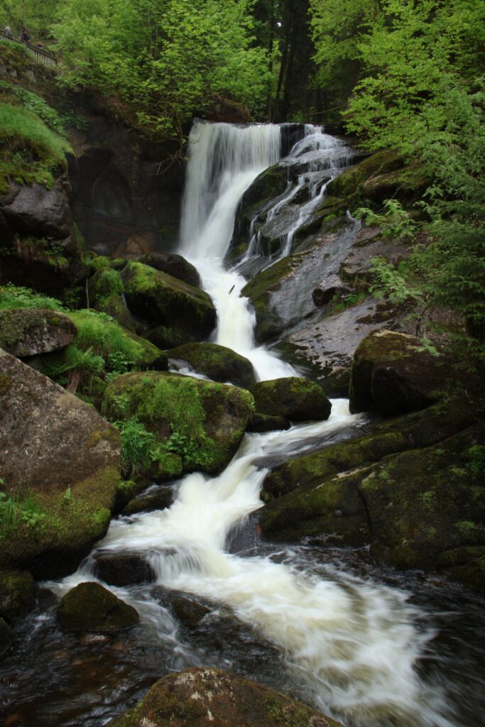 Waldbach und Wasserfall zwischen moosigen Steinen