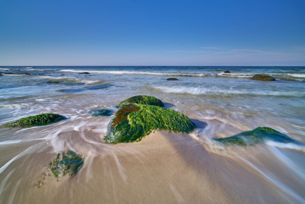 Moosige Steine am Strand von Rügen