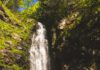 Wasserfall im grünen Schwarzwald