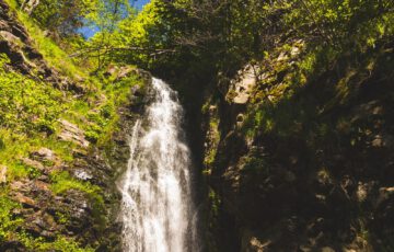 Wasserfall im grünen Schwarzwald