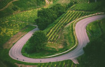 Kurvige Straße zwischen grünen Weinbergen