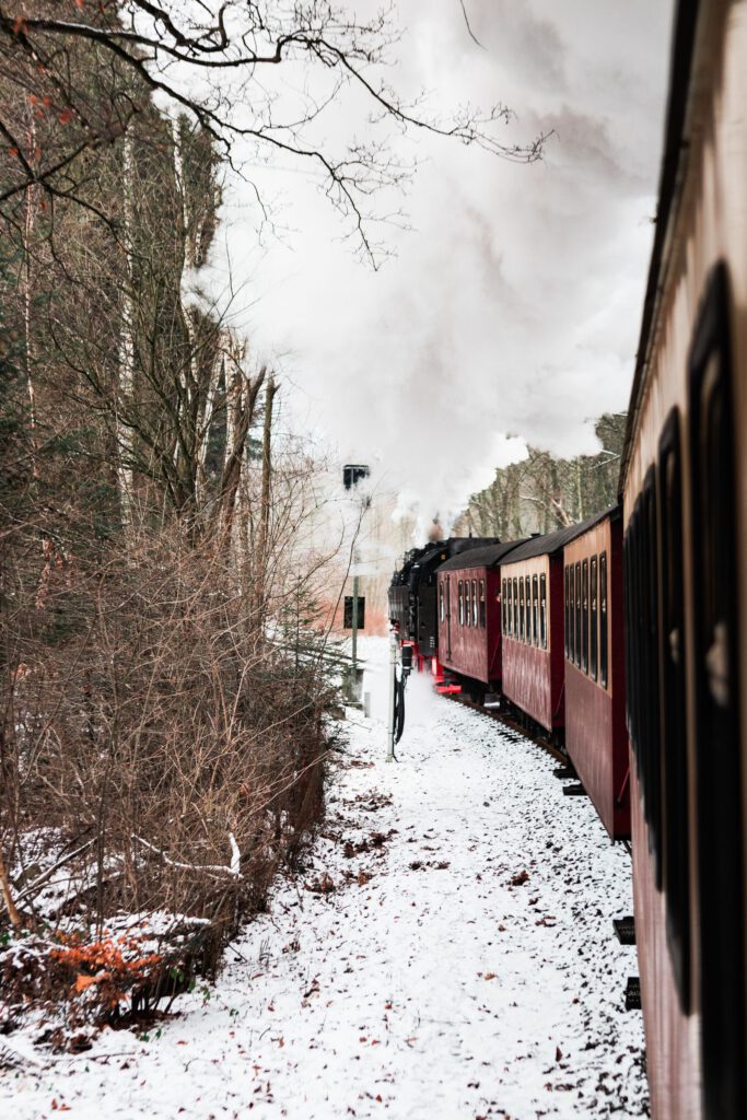 Brockenbahn im verschneiten Harzwald